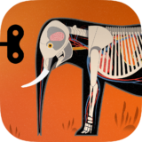 Mammals Icon Round