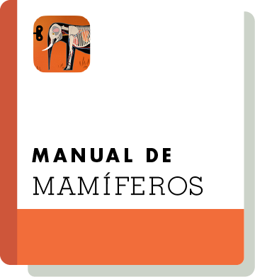 El09 Handbook Thumbnail Es