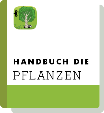 El02 Handbook Thumbnail De