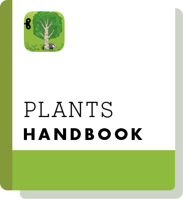 El02 Handbook Thumbnail En