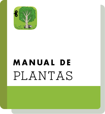 El02 Handbook Thumbnail Pt