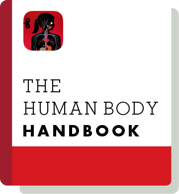 El01 Handbook Thumbnail En