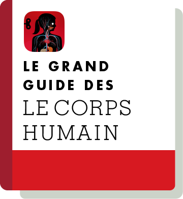El01 Handbook Thumbnail Fr