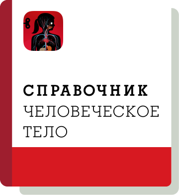 El01 Handbook Thumbnail Ru