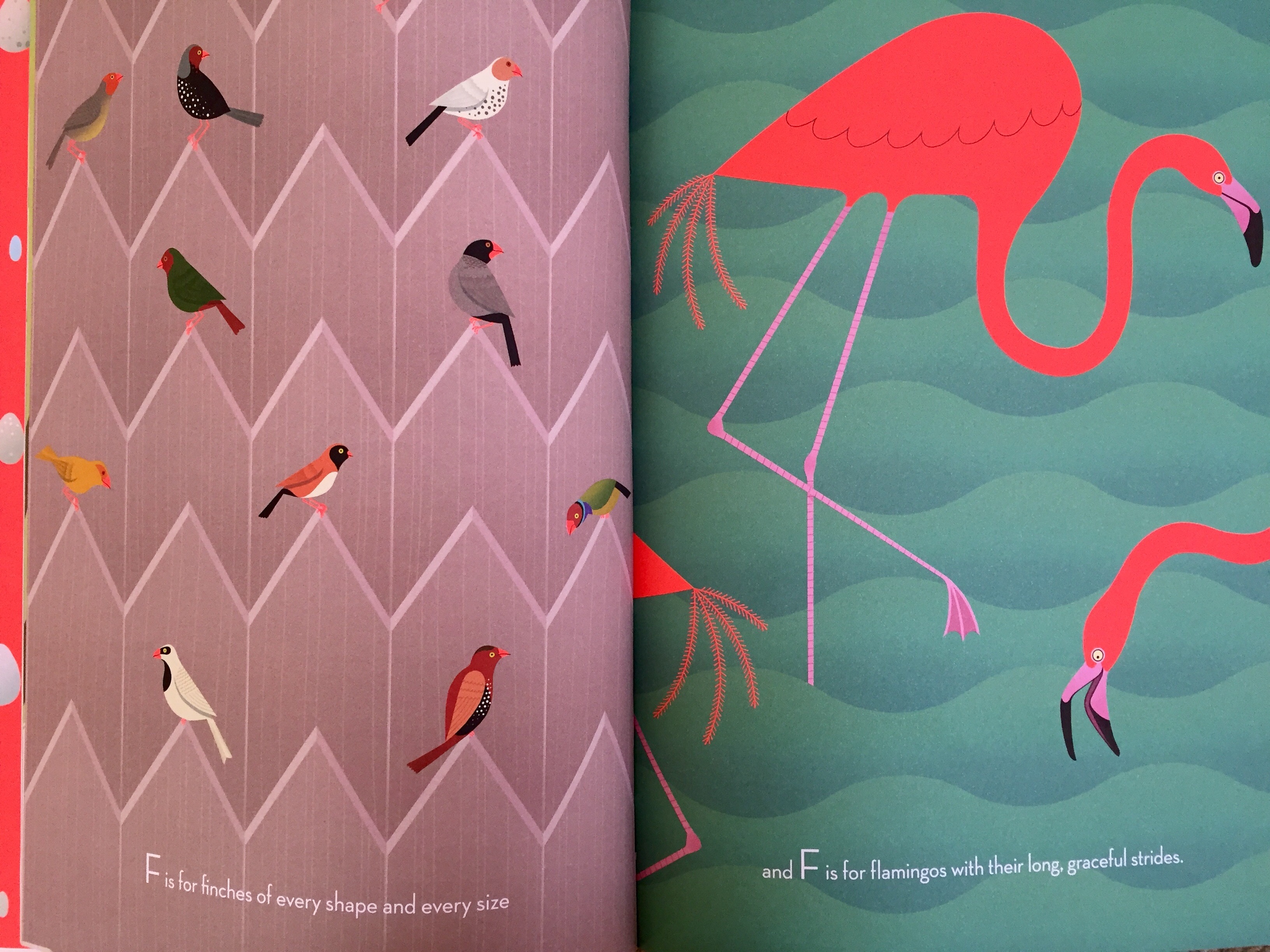 Beautiful_Birds_Roussen_Walker_full