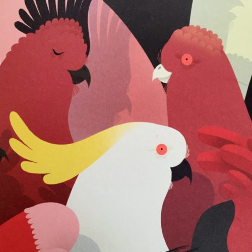 Beautiful_Birds_Roussen_Walker_thumb.jpg