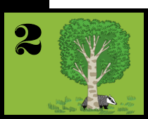 Plants press kit